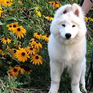 Meet your Posher, Kylie